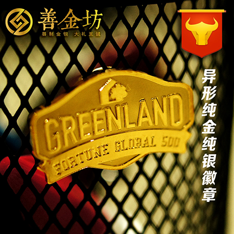 金属徽章定制/定制金银徽章/徽章制作工厂--徽章定做表彰奖励